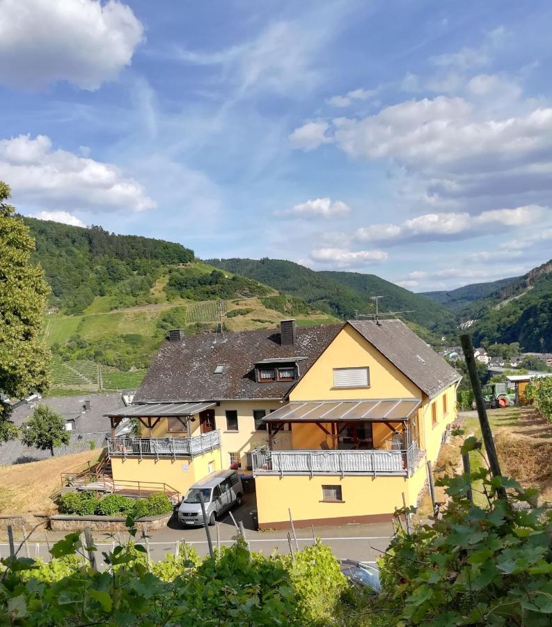 Die Ferienwohnung Lindenhof 첼 안 데어 모젤 외부 사진