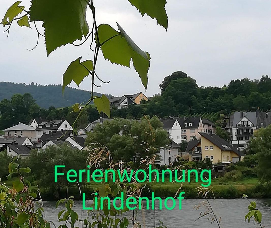 Die Ferienwohnung Lindenhof 첼 안 데어 모젤 외부 사진